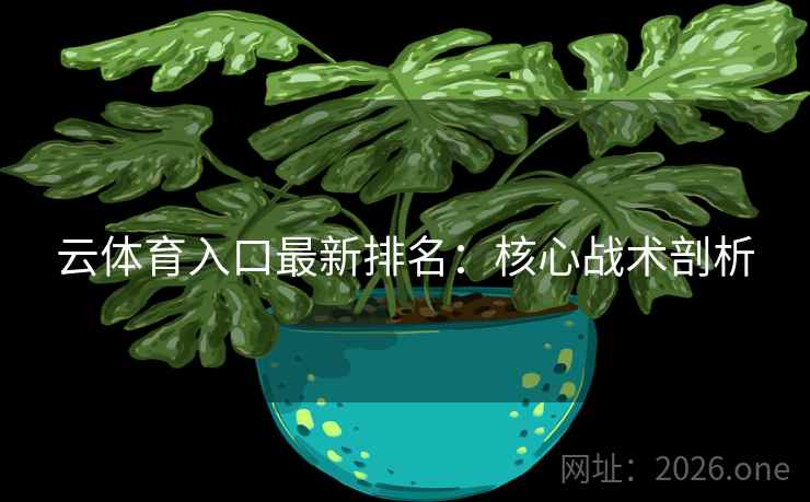 云体育入口最新排名：核心战术剖析