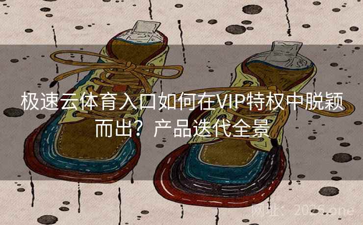 极速云体育入口如何在VIP特权中脱颖而出？产品迭代全景